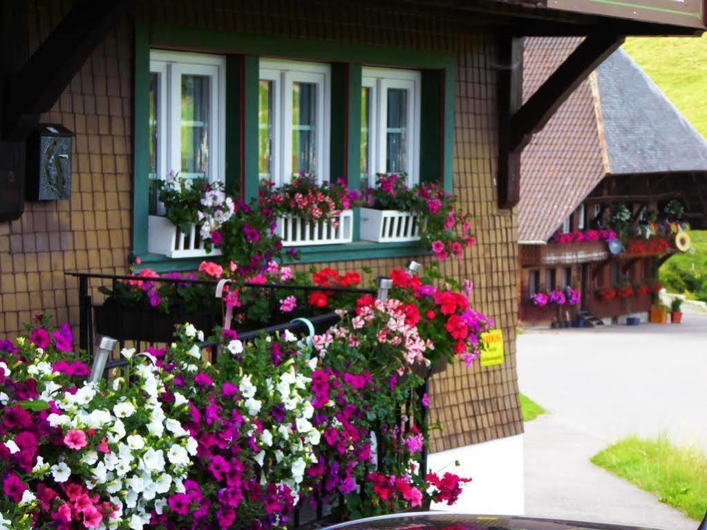 Апартаменты Schwarzwaldhaus Kathi Тодтмос Экстерьер фото